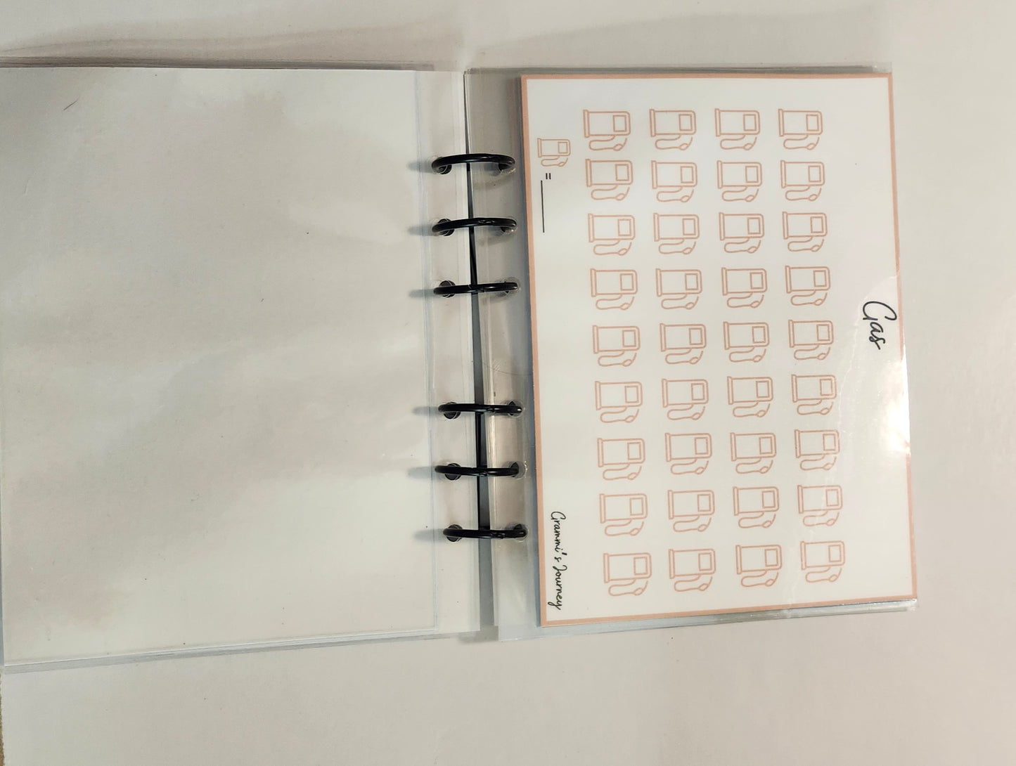 Nurse in progress binder